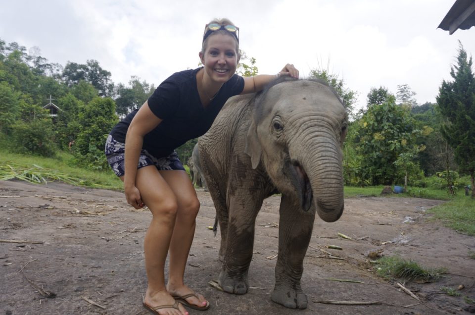 Read more about the article Unapologetically bossy – ELEPHANT EXPERIENCE IN CHIANG MAI